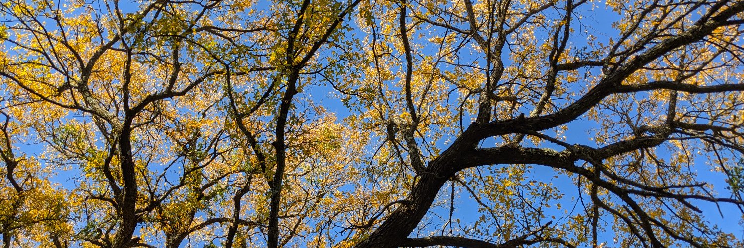 Benjamin Gleason banner