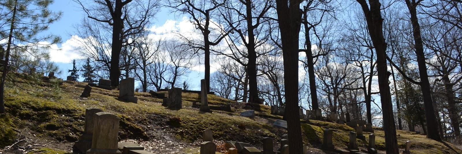 RochesterReformTrail banner