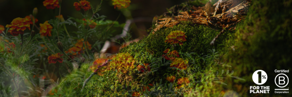 VerdicalGroup Profile Banner