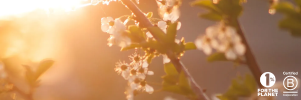 Verdical Group banner