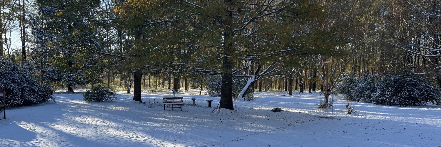 Liberal Libra Down South banner