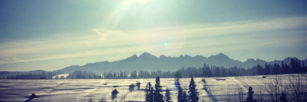 _decu_ Profile Banner