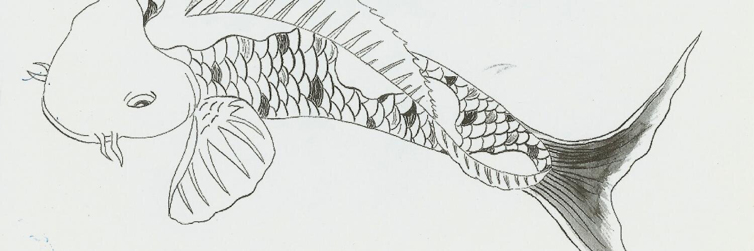 T_V_Effects's profile banner image