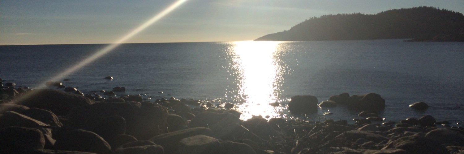 Annette Wallgren banner