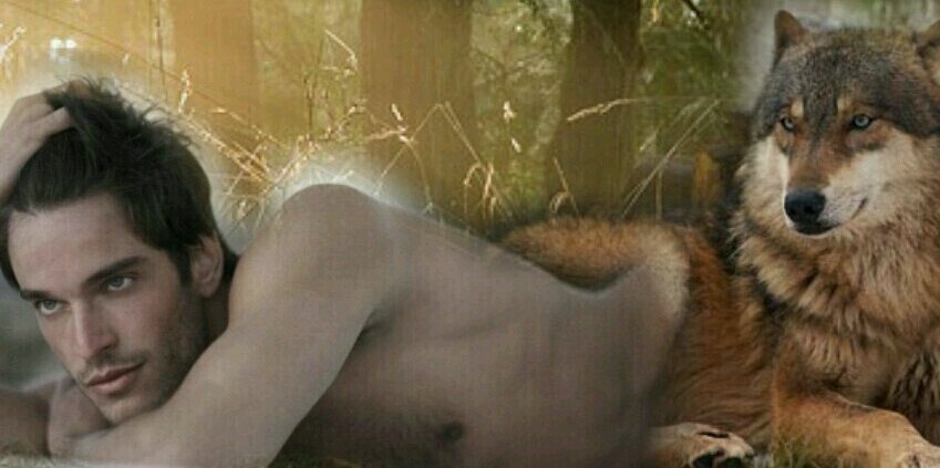 LandonJ_BF's profile banner image