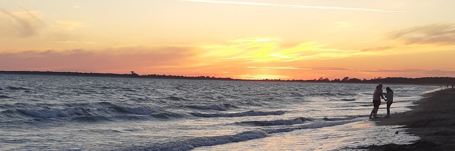Emilieedavid's profile banner image