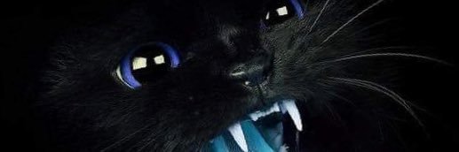 mohammedlamre's profile banner image