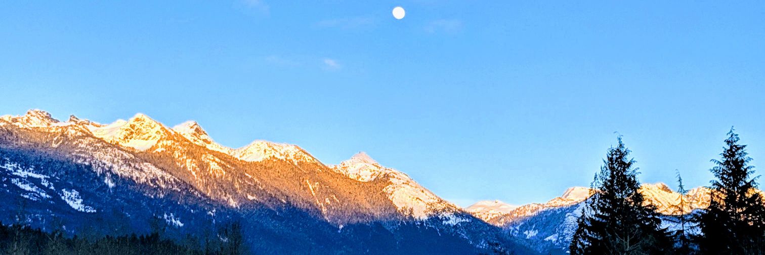 MissCPeters29's profile banner image
