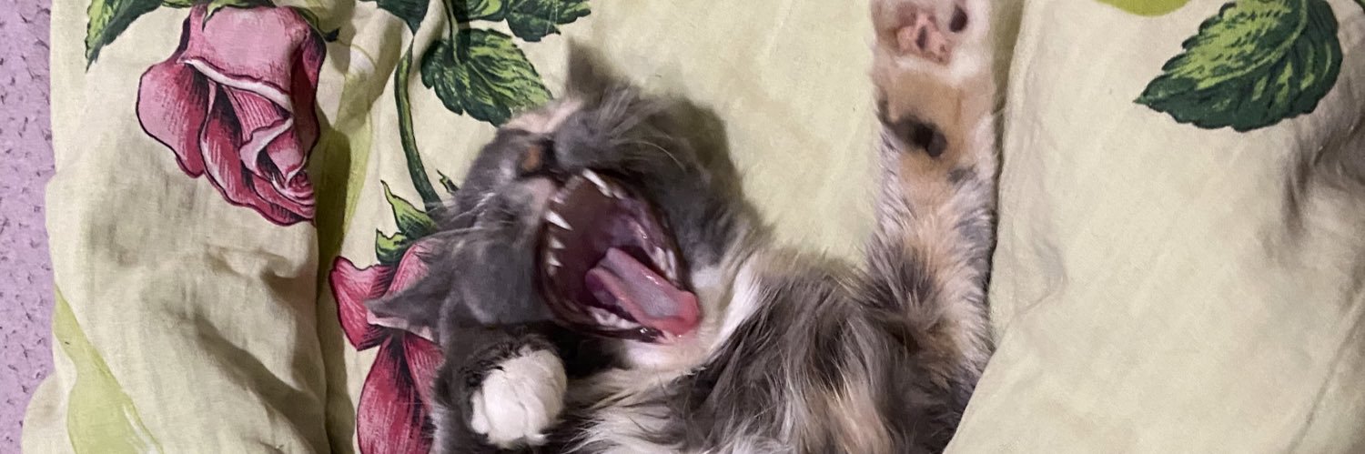 pukipsi's profile banner image