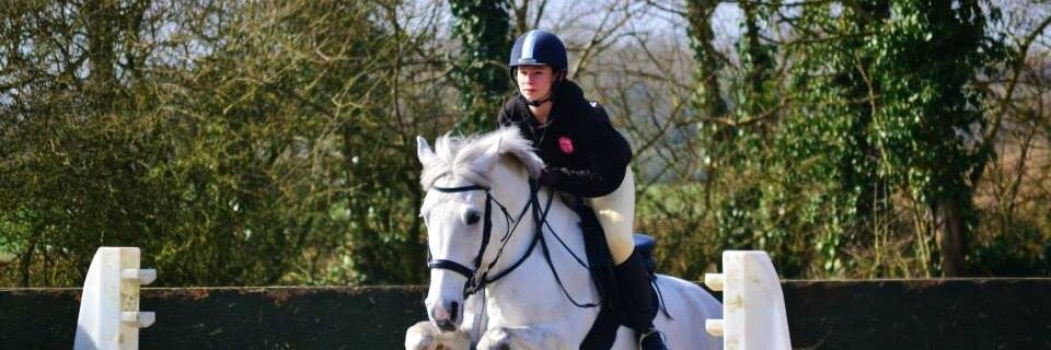 Essex Equestrian banner