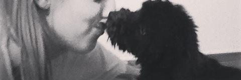 LuliFeliu's profile banner image