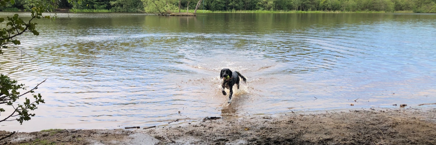 𝐍𝐚𝐭 𝐒𝐭𝐚𝐫-𝐁𝐨𝐨 banner