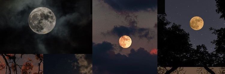 Wajed_58's profile banner image