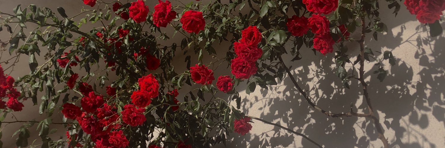 rabia__00's profile banner image