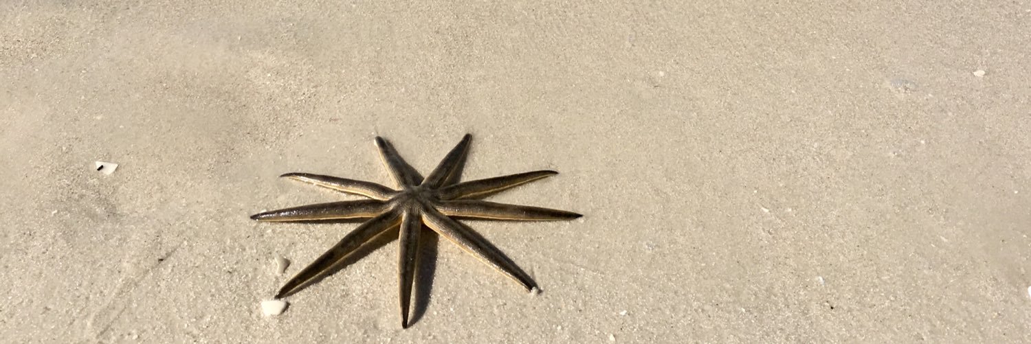 Susan Morgan Bailey banner