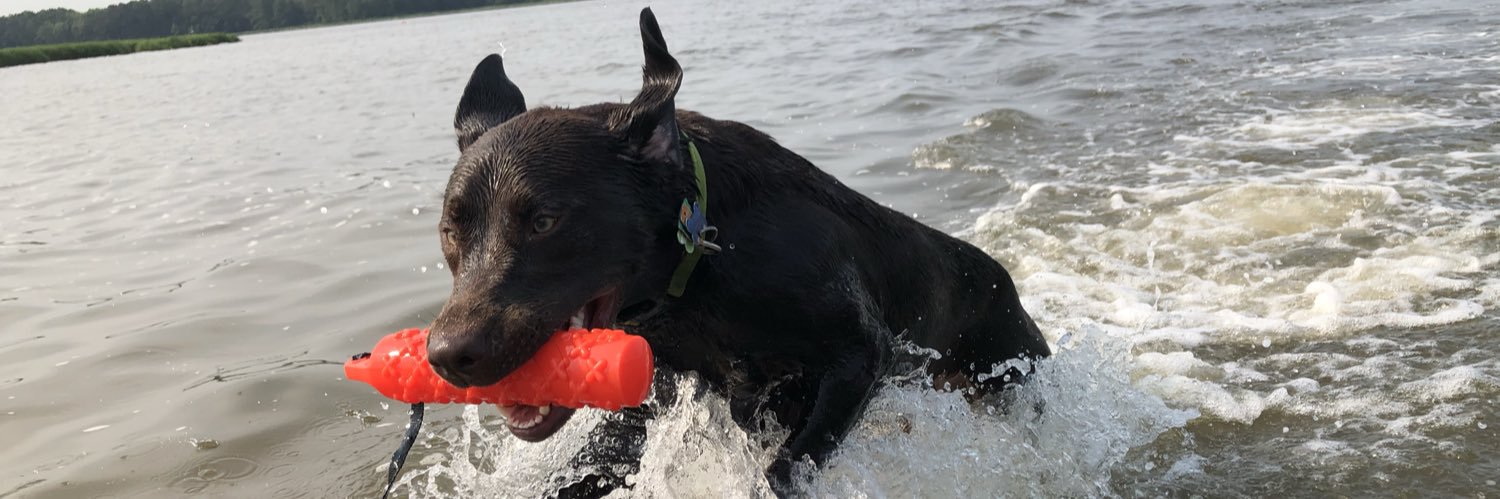 Chris Buckner banner