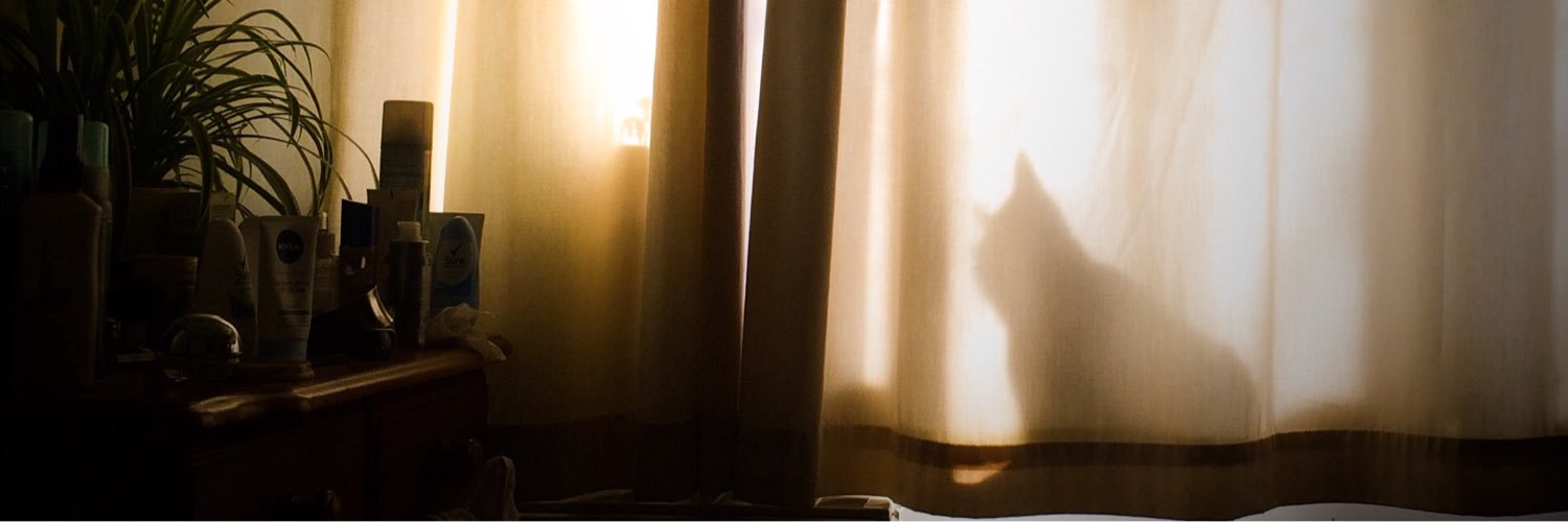 Scrozatron79's profile banner image