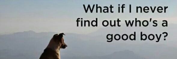 Mo 🌍 🏴󠁧󠁢󠁳󠁣󠁴󠁿 🇪🇺 🌈 🇫🇷 🇱🇧 banner