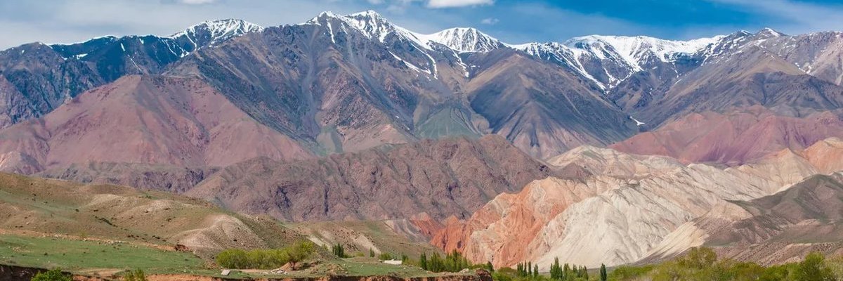Дорж Саруул banner