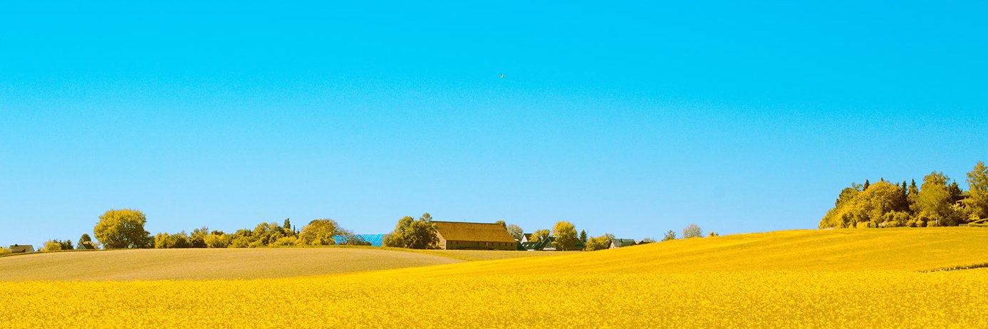 PapaTiison's profile banner image