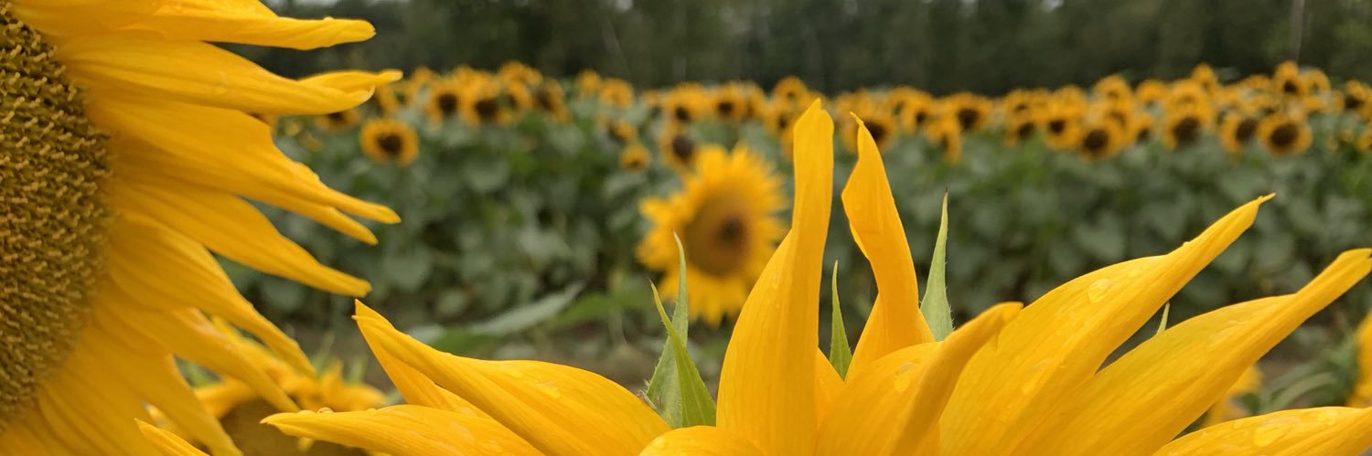 estherose57's profile banner image