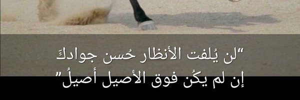 bint_7amad9 Profile Banner