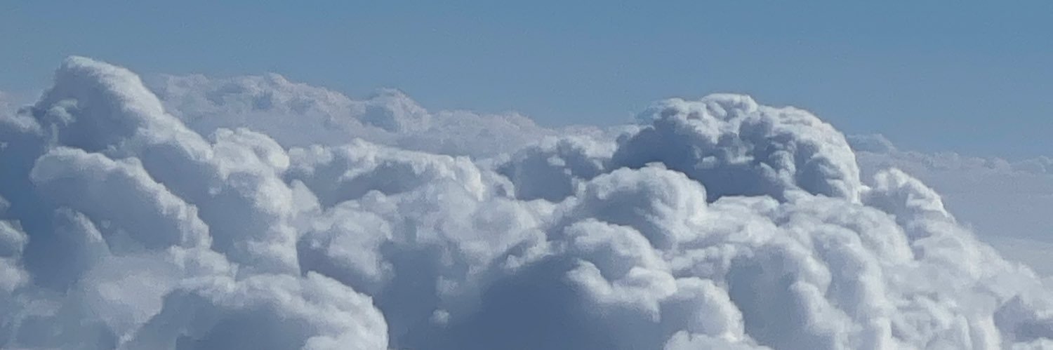 BujnowskiMorgan's profile banner image