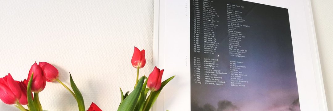 sofia banner