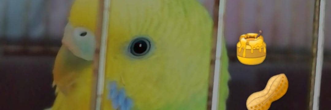 banurkk3's profile banner image