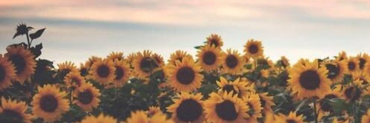 💖SAMANTHA💖 banner