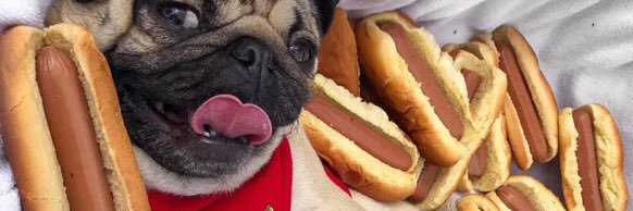 lizziedalizardd's profile banner image