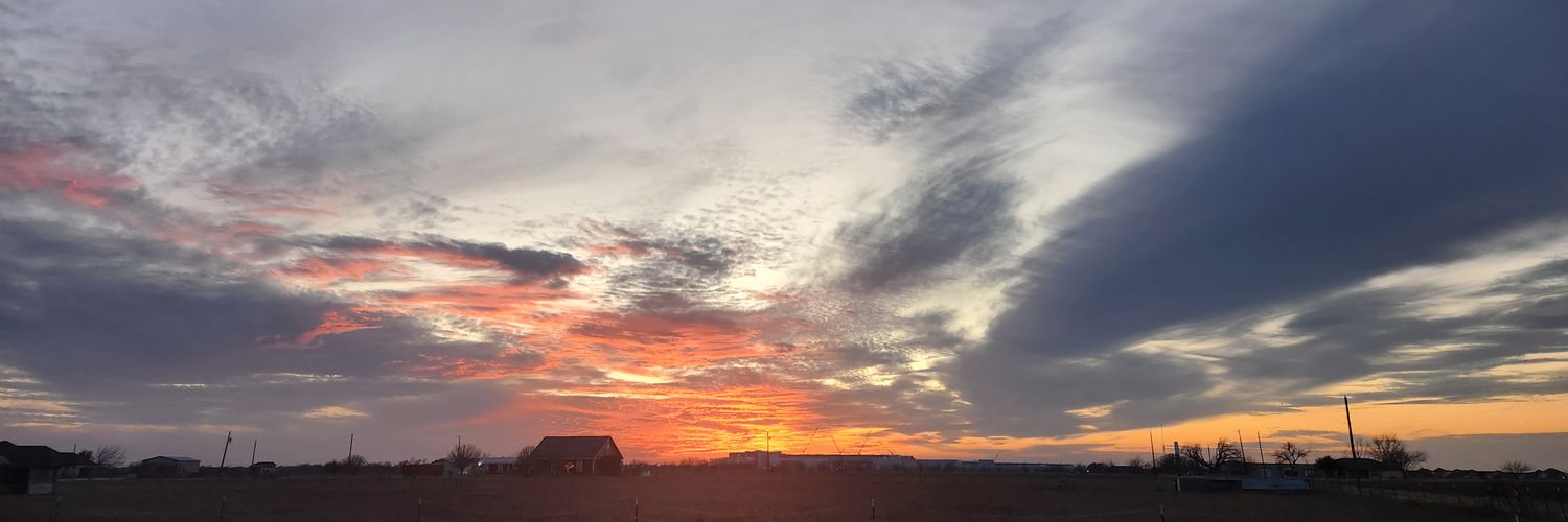 dottylady🇺🇸👀 banner