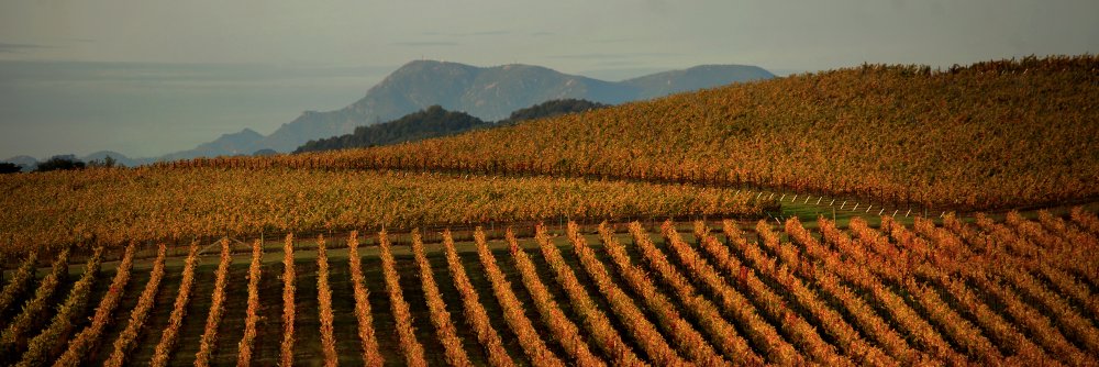 sonomamag's profile banner image