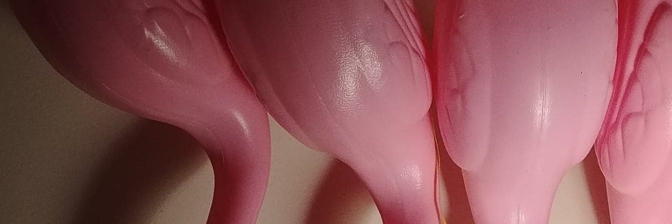 andreacvincent's profile banner image
