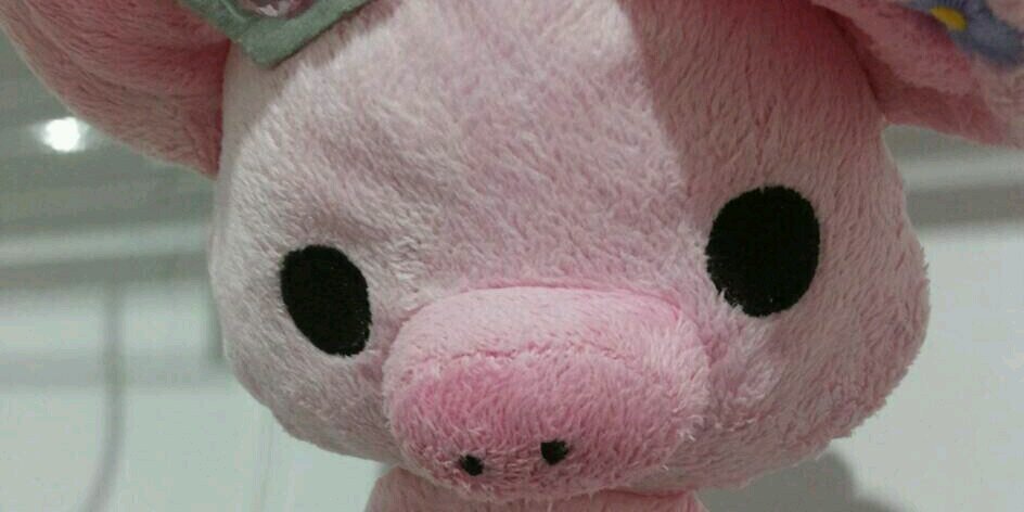 กอ`กุลล กุน ® banner