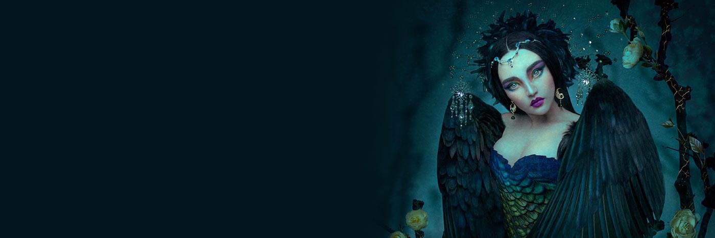 Isabel Angelanii banner