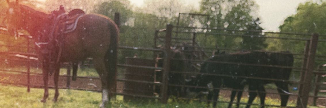 bayleescott15's profile banner image