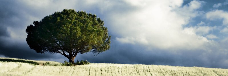 almestady's profile banner image