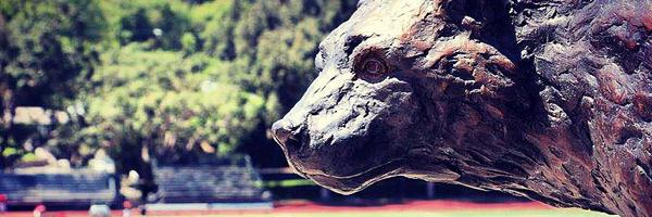 HWSchool Profile Banner