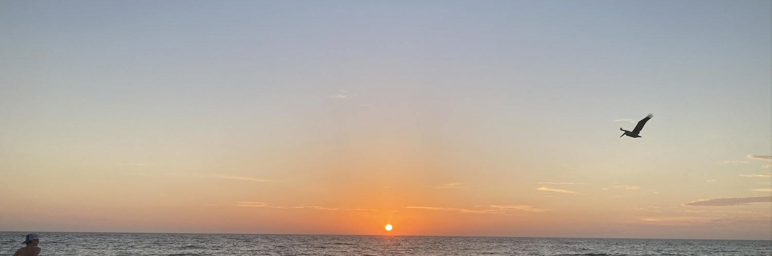 SteveHoey's profile banner image