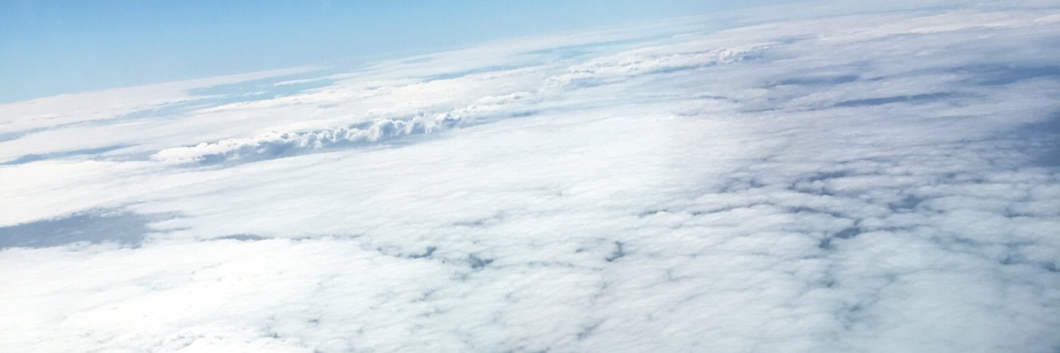 ardynnef's profile banner image