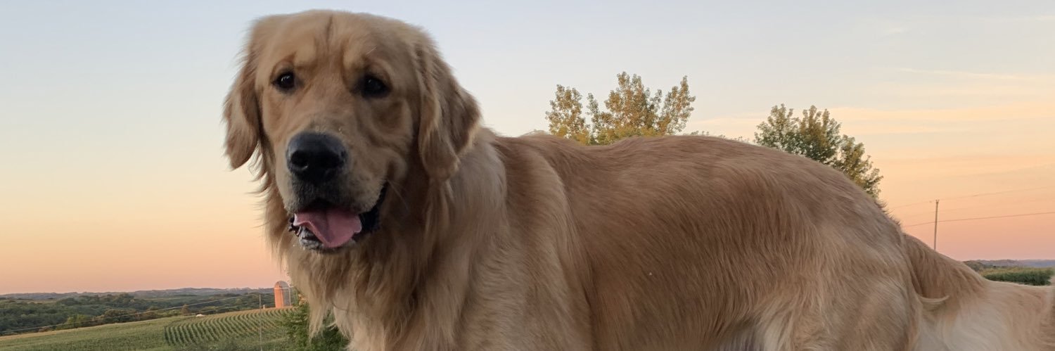 StephHeitz's profile banner image