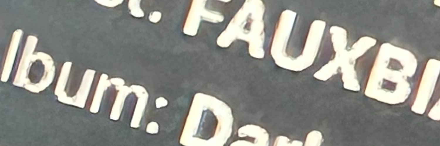 FAUXBIA_'s profile banner image