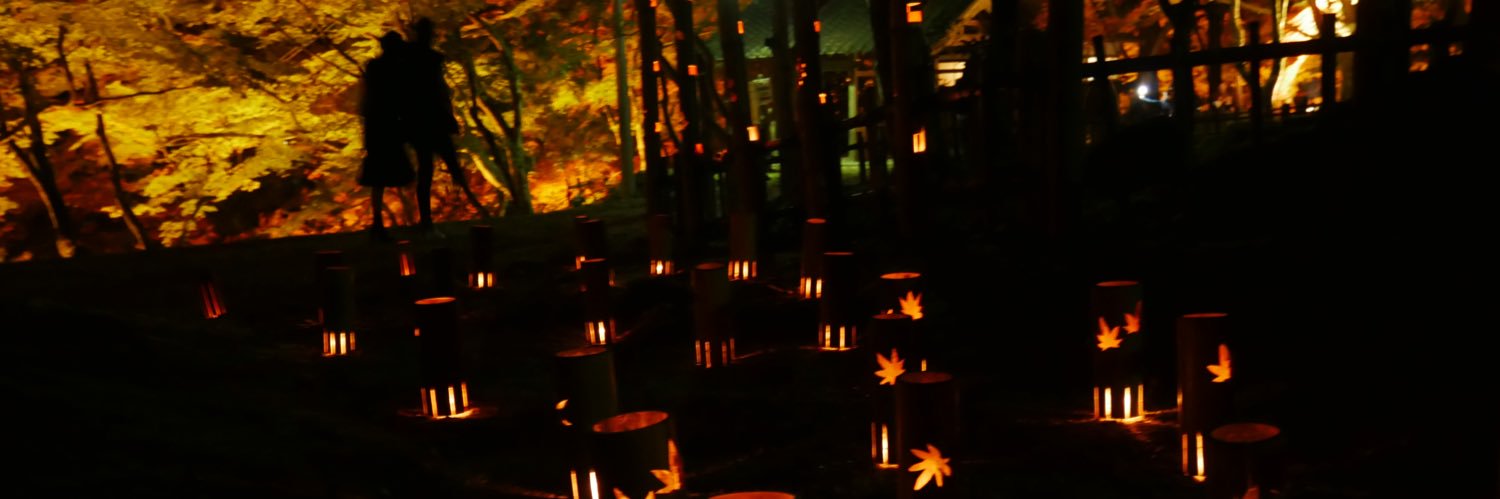 statice077's profile banner image
