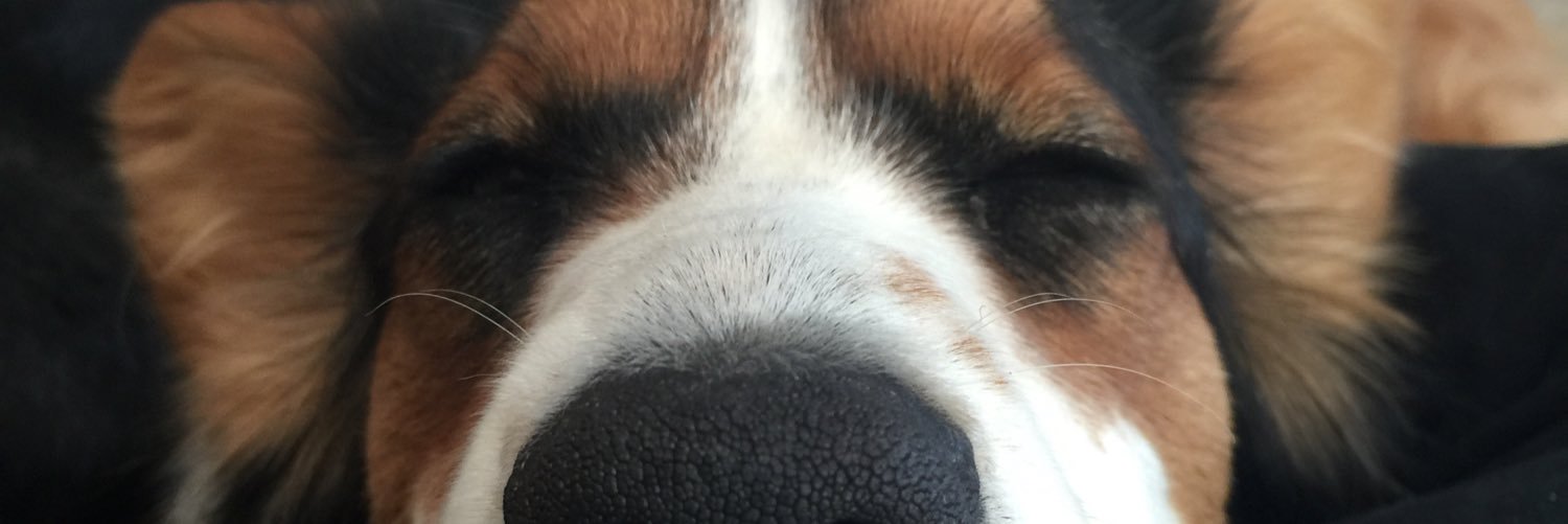 sh_wn's profile banner image