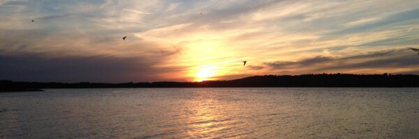 Gudge62 Profile Banner