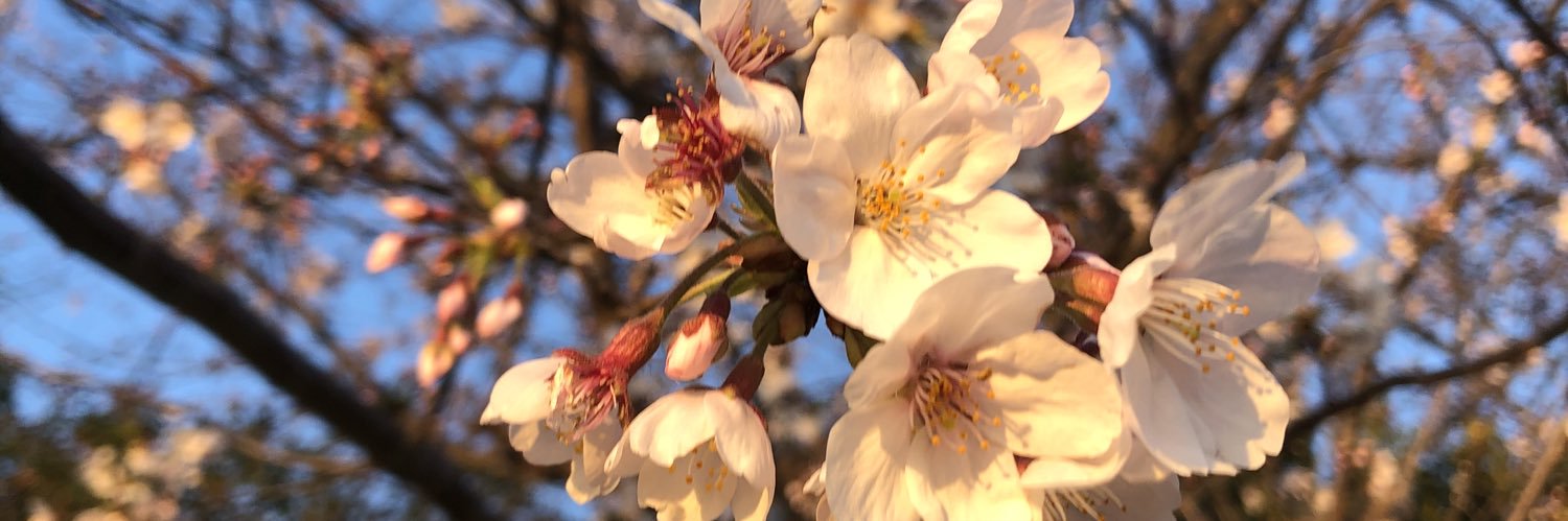 篠生 滋樹 banner