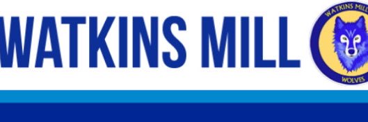 Elisabeth Halici banner