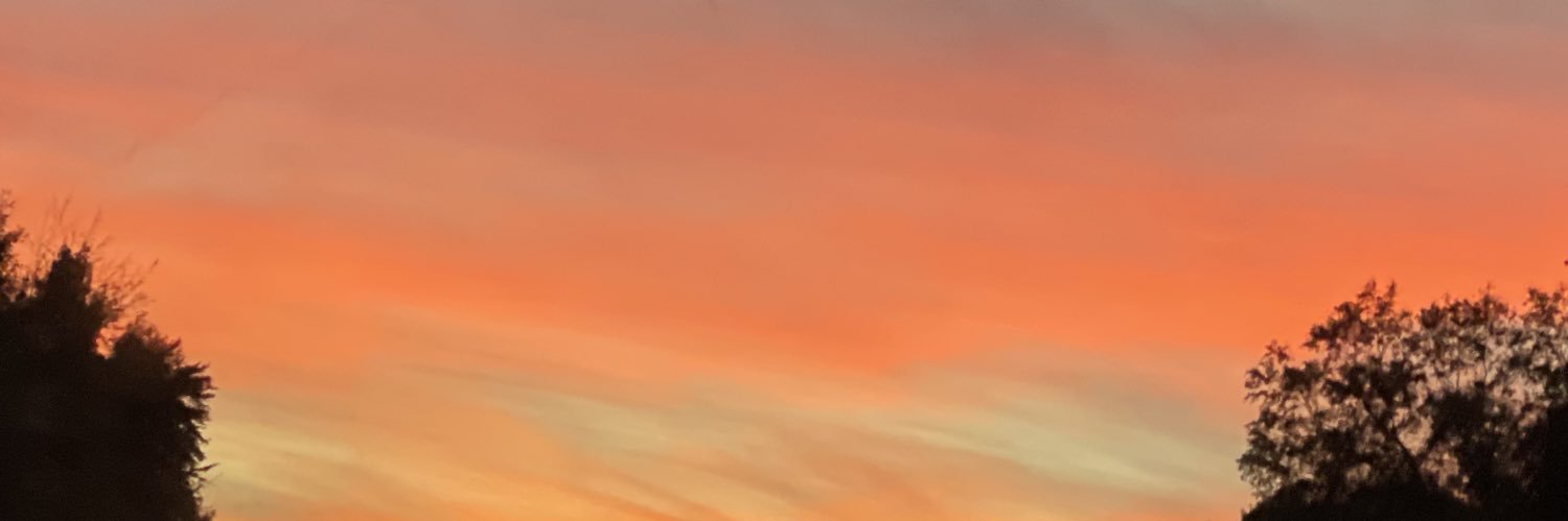 basicmulan's profile banner image