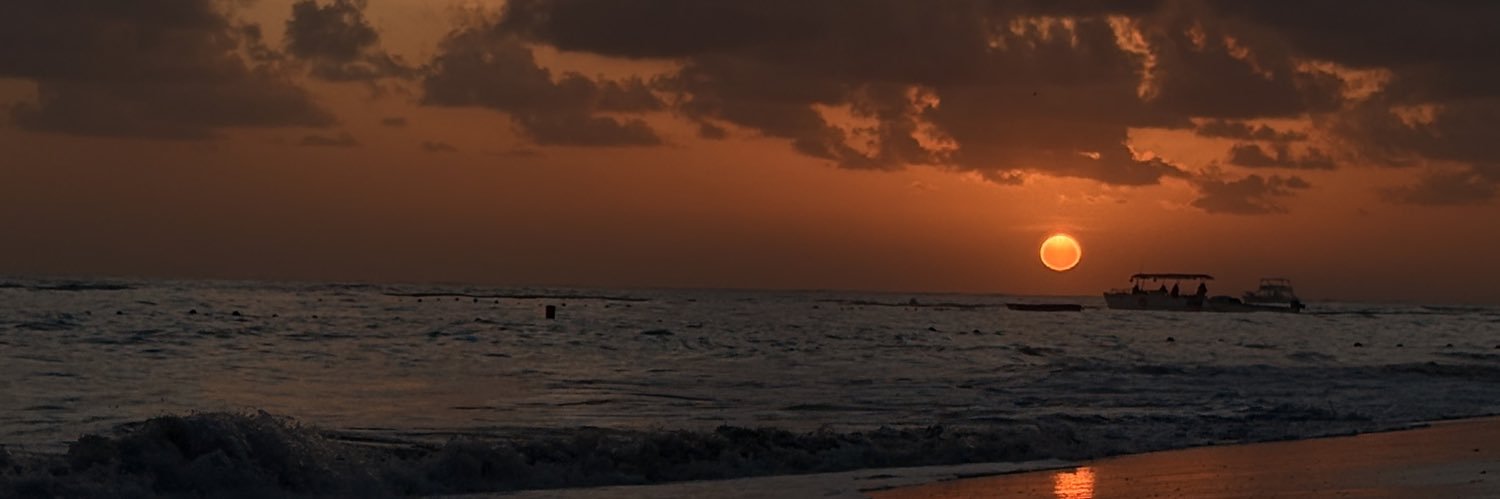 Soolsaravia's profile banner image